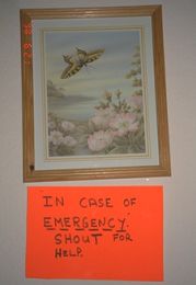 emergency (8k)