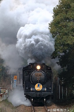 B54I4129.JPG