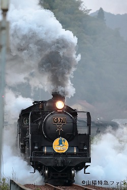 B54I4194.JPG