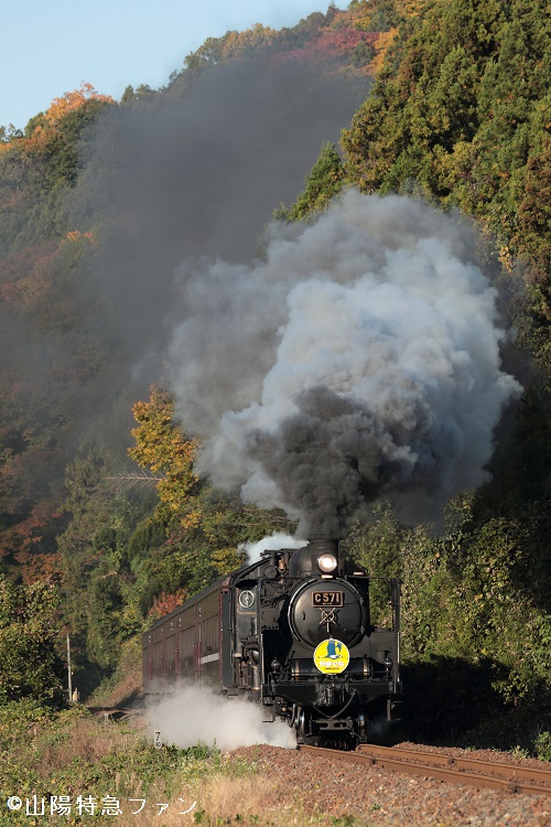 B54I4455.JPG