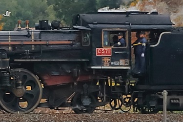 B54I5493b.JPG