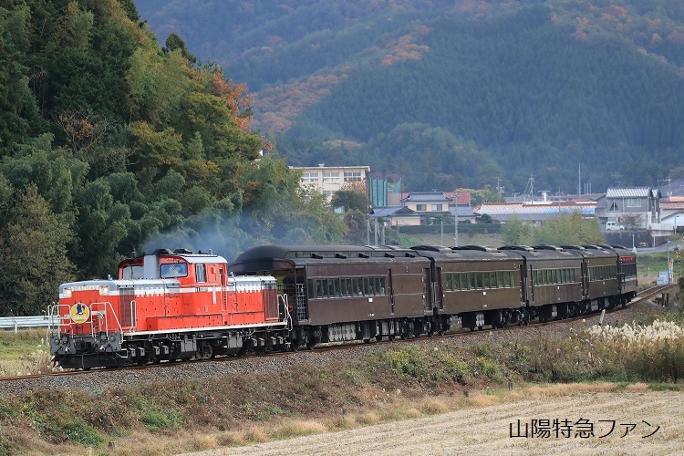 B54I1433.JPG
