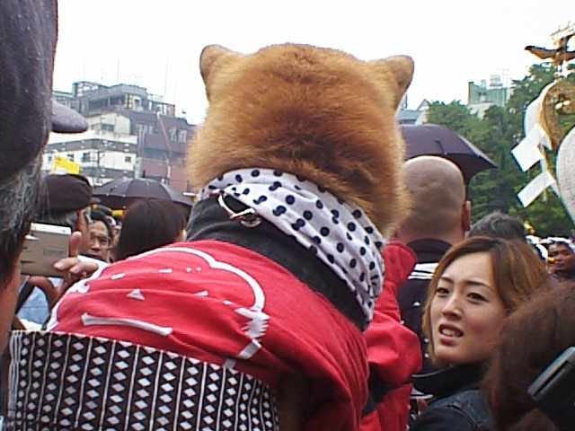 『おっありゃでかいぞっ!』