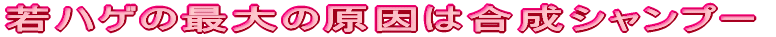 nQ̍ő͍̌Vv[