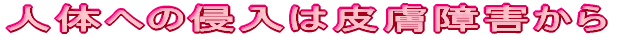 l̂ւ̐N͔畆Q