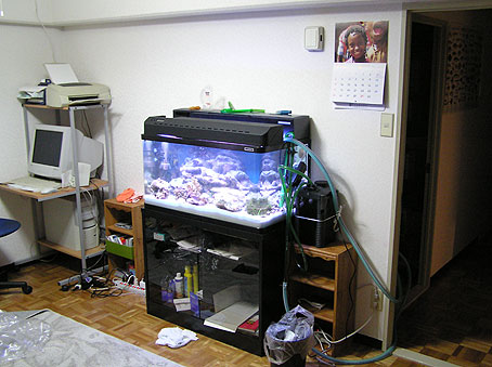 Tank in room