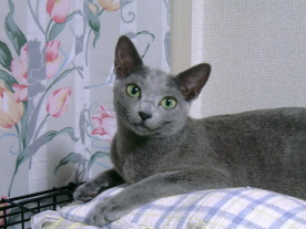 �����܂�