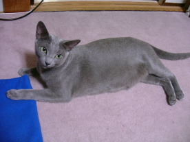 �D�w����