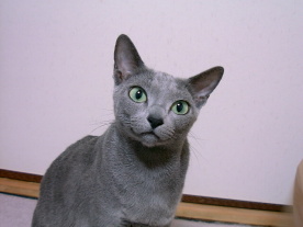 ���ɍ��ڂ��΂��Ă�