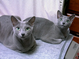 ��e�炵���炾��