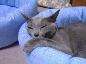 �o�����ăN�b�V��������