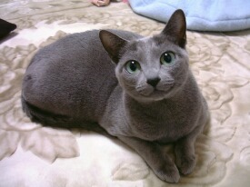 ��e�炵���炾��