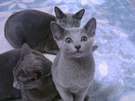 �L���`����