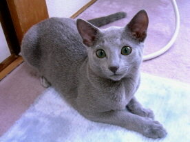 �܂�����