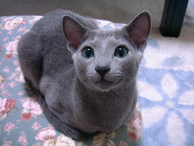 �Y��ȓ����Ă܂�