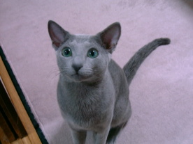 ���������`��