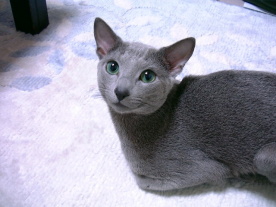 �@��������