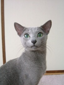 ������ƃ|�[�Y