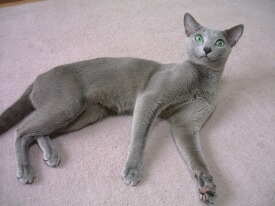 �X�^�C��������