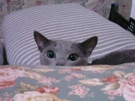 �h�L�h�L�킭�킭