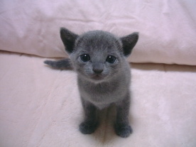 �����s��