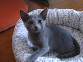 �������H