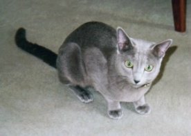 ���킢���J�~����