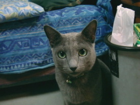 ���`�`�`�`�`