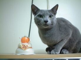 ���݂Ƌ���