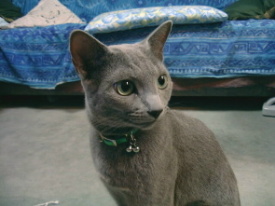 �z�X����