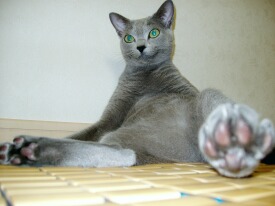 �������A���O���I