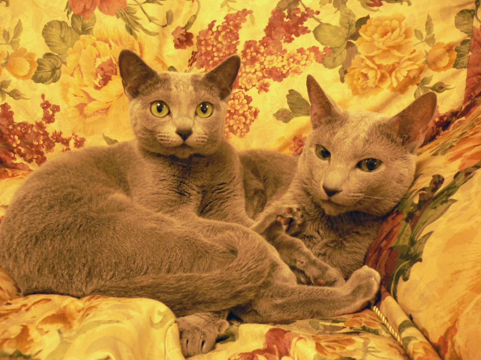 ���I�N�ƈꏏ