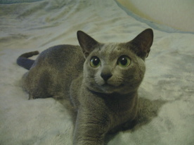 ���̎q���܂�܂�I����