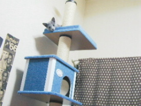 ���������D���I