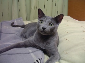 ���h�Ȑg��