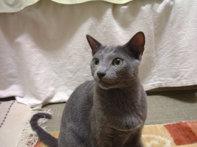 �f�C�Ɏ��Ă邩��