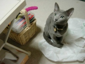 �������������H