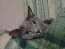 ���������c