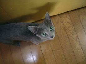 ���グ�Ă܂�