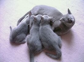 �~���N�^�C��