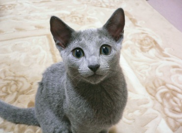 �т�����Ă邯�ǁA�����g