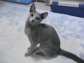 �����܂�