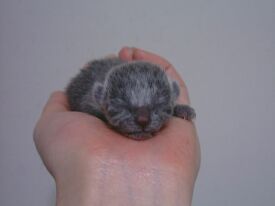 �Y�܂ꂽ�Ăł�