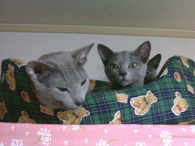 ���イ���イ