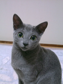 �����܂�