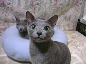 �K���o��