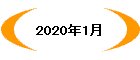2020N1