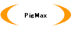 PigMax