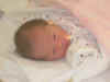 2004_0808摜0021a.JPG (33632 oCg)