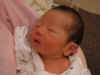 2004_0808摜0028a.JPG (34934 oCg)